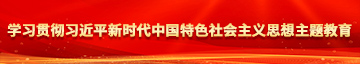 美女扣逼高潮网站学习贯彻习近平新时代中国特色社会主义思想主题教育